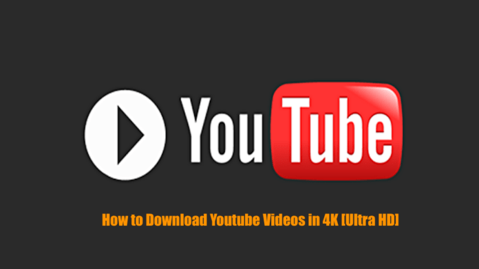 How to Download Youtube Videos