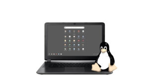 How to Install Linux Apps on Chromebook?