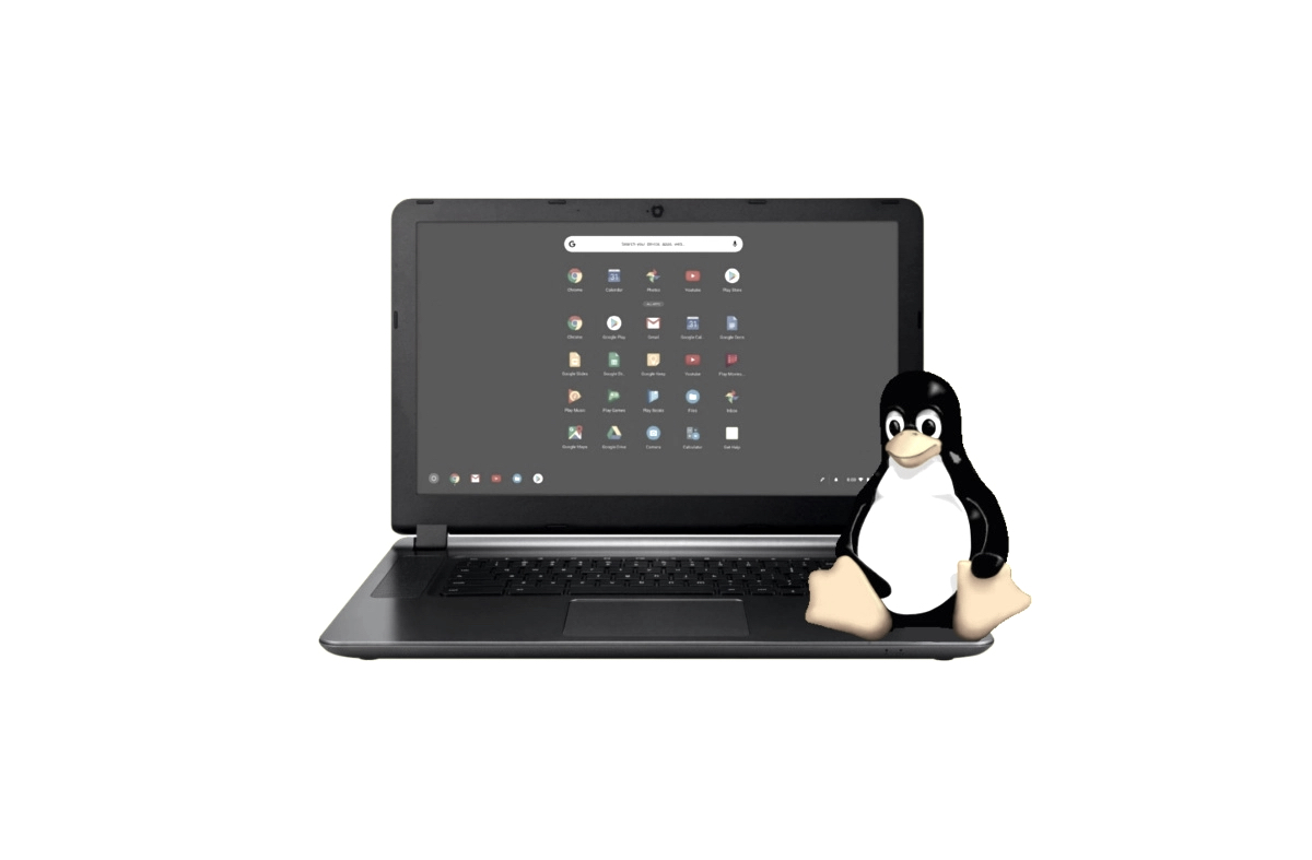 How To Install Linux Apps On Chromebook BizTechPost how-to-install-linux-apps-on-chromebook-biztechpost
