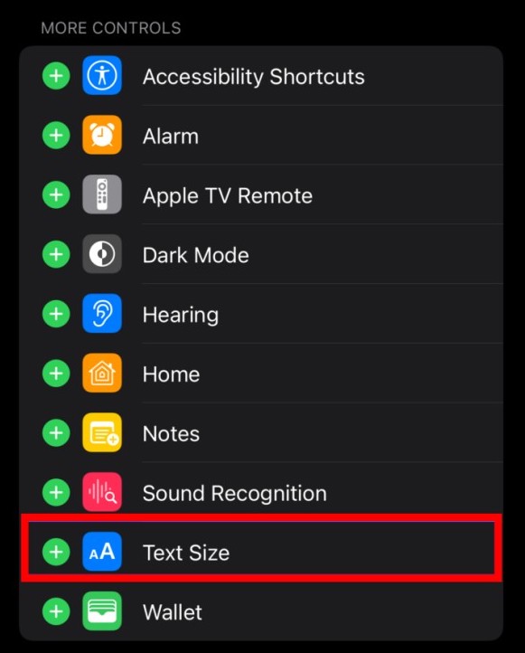 Text Size option on iPhone